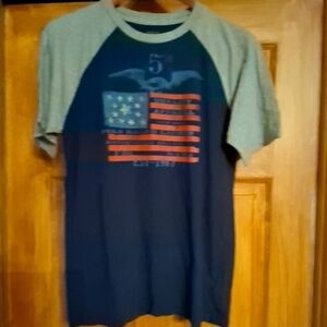 Polo by Ralph Lauren Navy and Gray Flag Tee